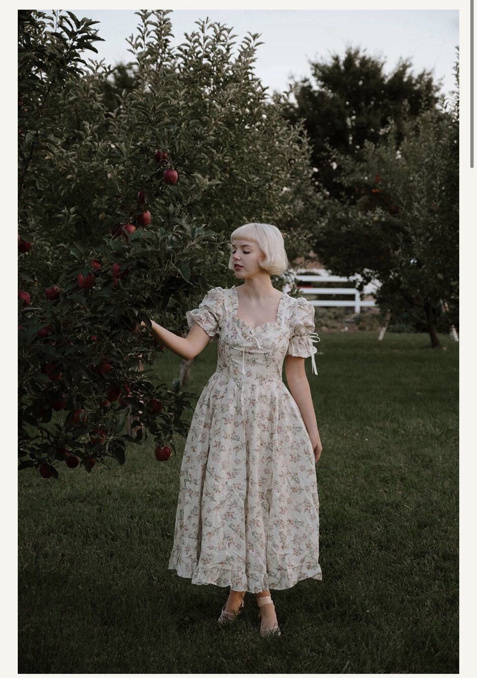 Ava Gowns Amelia Dress Sz 14 Prairiecore Cottagecore Corset Ditsy Flowers Picnic